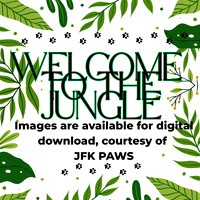JFK PAWS Family Dance 02.20.2026