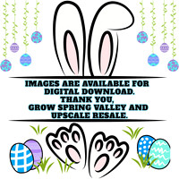 Spring Valley Easter Egg Hunt 03.28.2026