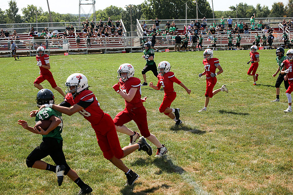 RD IVYFL26 (74)