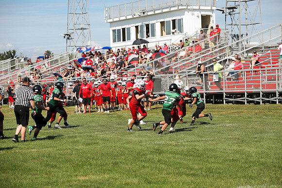 RD IVYFL26 (2)