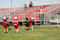 RD IVYFL26 (4)