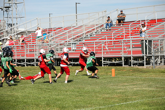 RD IVYFL26 (3)
