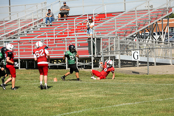 RD IVYFL26 (5)