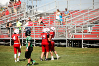 RD IVYFL26 (8)