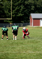 RD IVYFL26 (16)