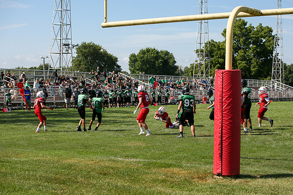 RD IVYFL26 (14)