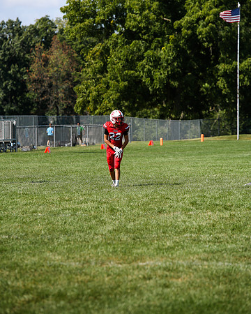 RD IVYFL26 (18)