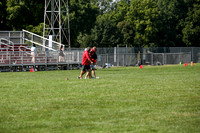 RD IVYFL26 (19)