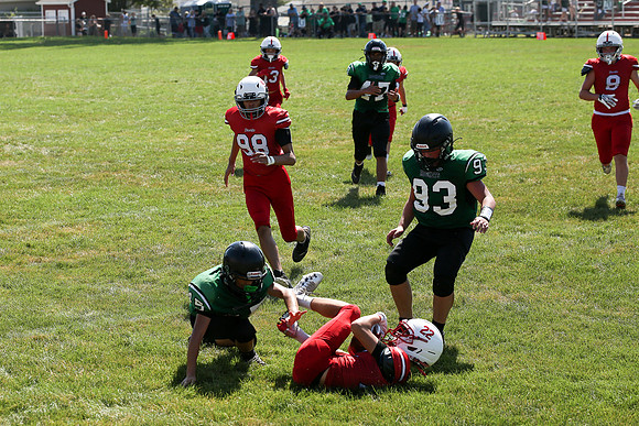 RD IVYFL26 (38)