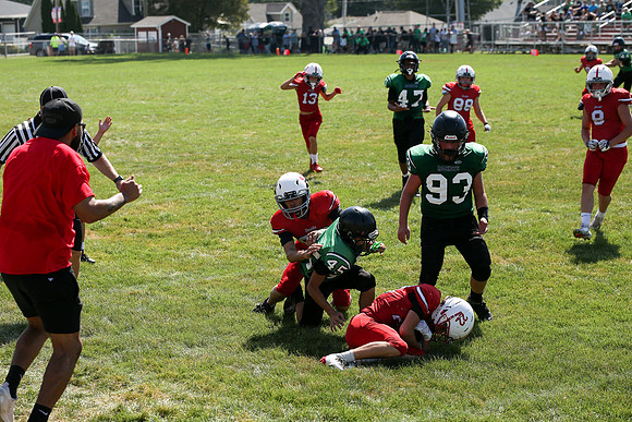 RD IVYFL26 (39)