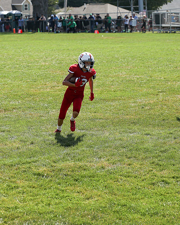 RD IVYFL26 (47)
