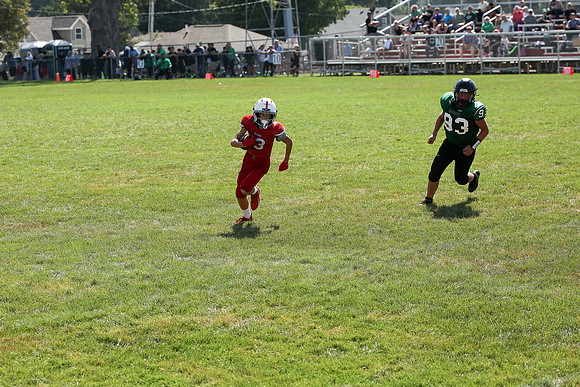 RD IVYFL26 (46)
