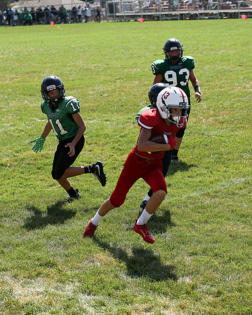 RD IVYFL26 (49)
