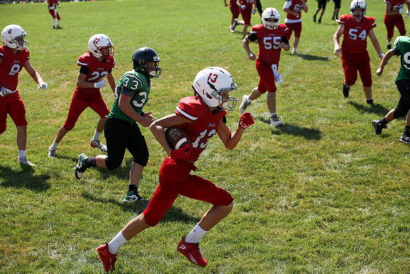 RD IVYFL26 (50)