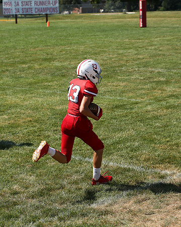 RD IVYFL26 (51)