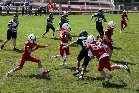RD IVYFL26 (59)