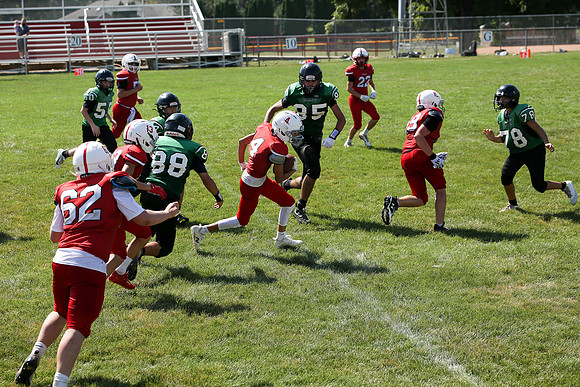 RD IVYFL26 (60)