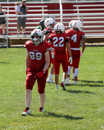 RD IVYFL26 (64)