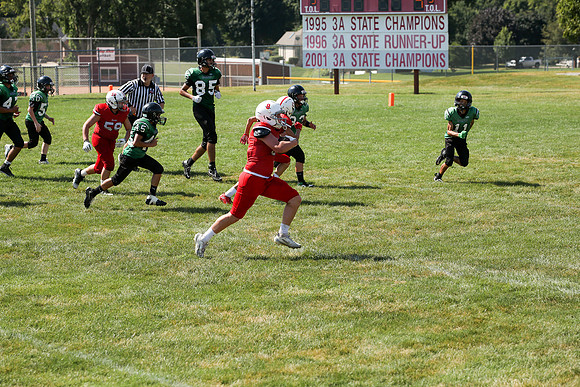 RD IVYFL26 (65)