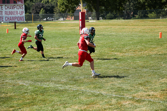 RD IVYFL26 (66)