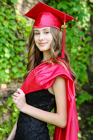 ZV (20)