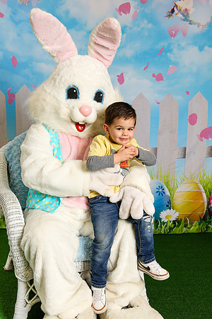 Bunny (49)