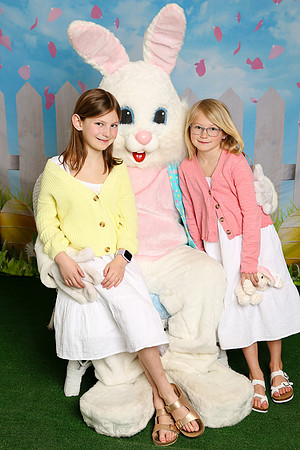 Bunny (3)
